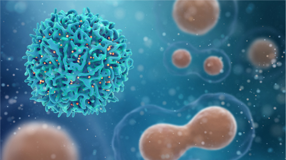 Immunology-Excellence